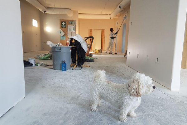 Decorating a new home with dog in foreground