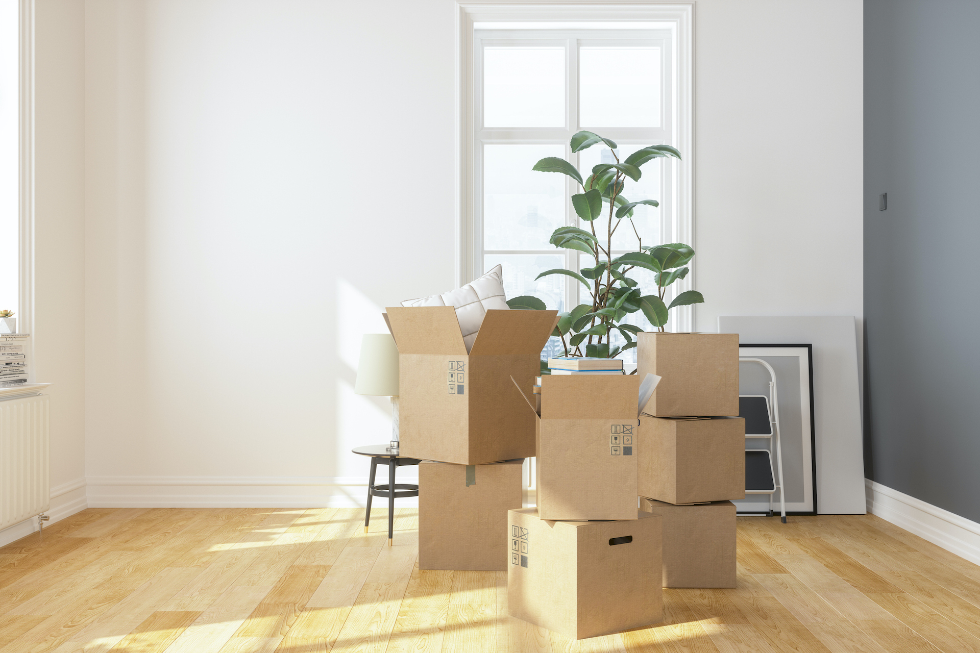 Tips for Packing Tricky Items When Moving House