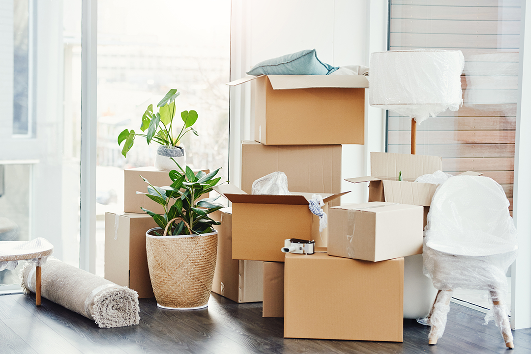 Packing & Assembling Your Belongings: Top Tips When Moving House